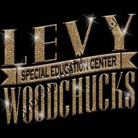 GLT57 GOLD GLITTER Thumbnail